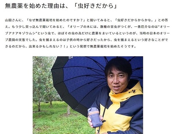 山田オリーブ園.jpg